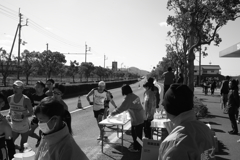 愛媛マラソン2020