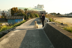 お座りしてるサーブ