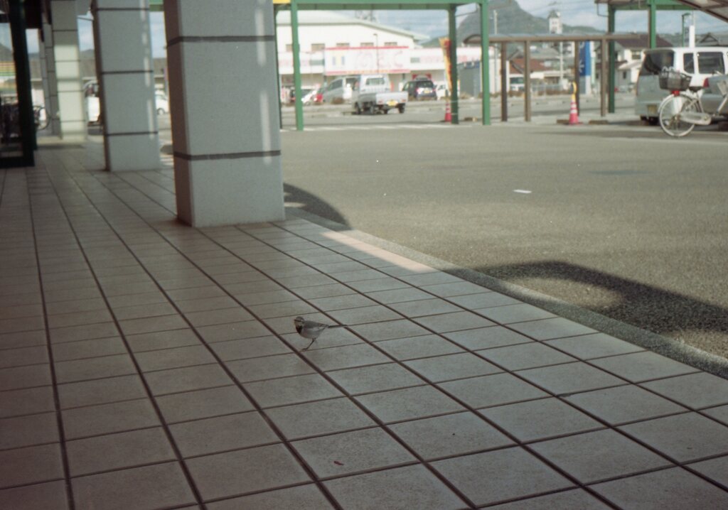 成人の日の朝　Trip35にて