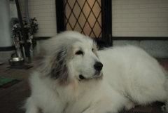 ココちゃん＠01-23