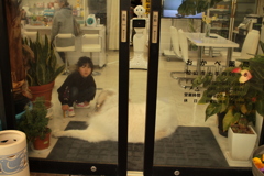 お店番してるココさん