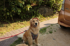 みゅうちゃんのお見舞いに遠路来てくれた蘭ちゃん