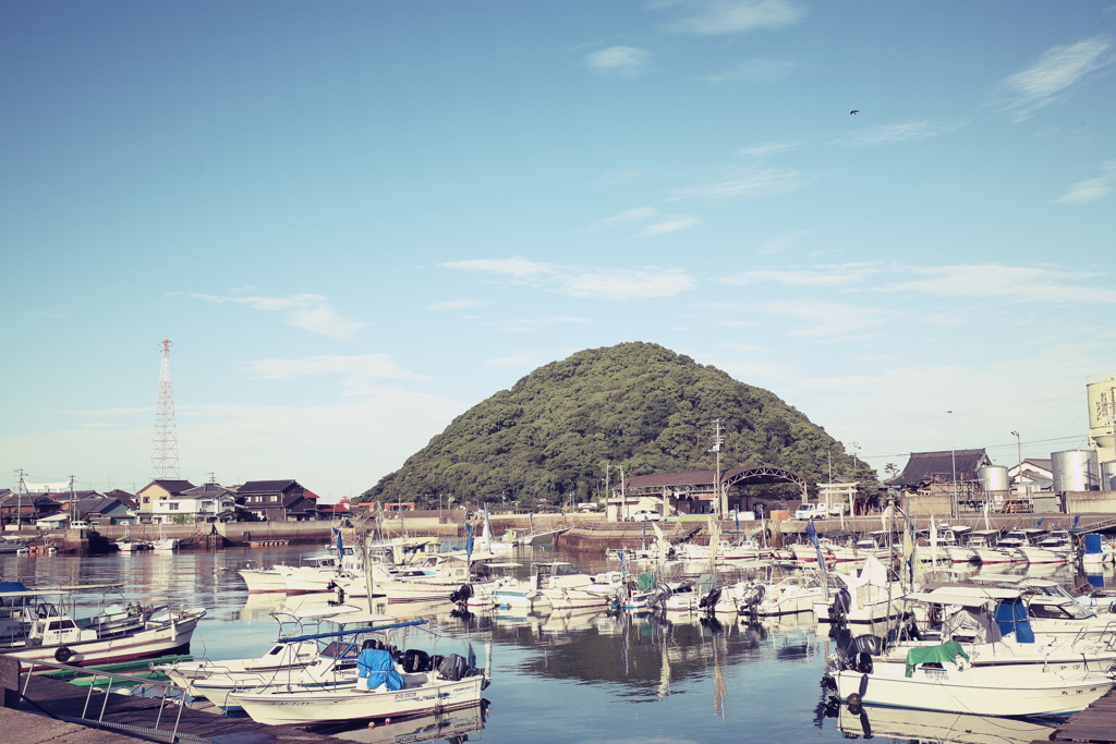 漁港の朝@伊予北条港