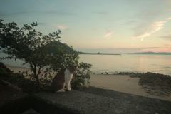 @2021-09-09