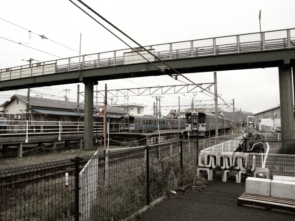 今日もイミフ系写真