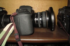 この手の保管方法ってどうですか？？