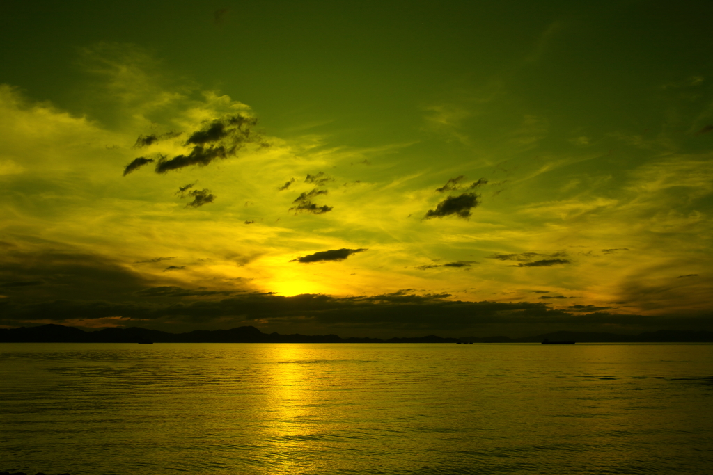 お目々に優しいブルーライトカット