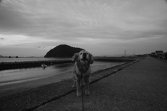 ワンワンクッキーが欲しいみゅうちゃん