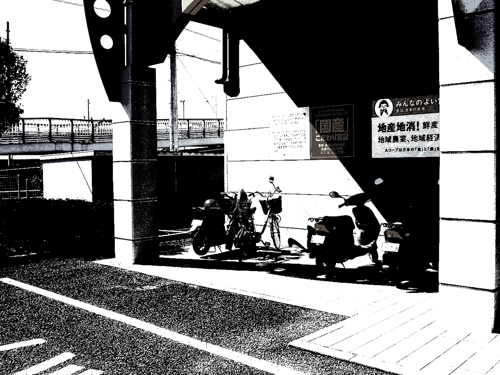 DSCF5799 ccc