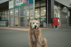 みゅうちゃんとスーパーで鉢合わせ