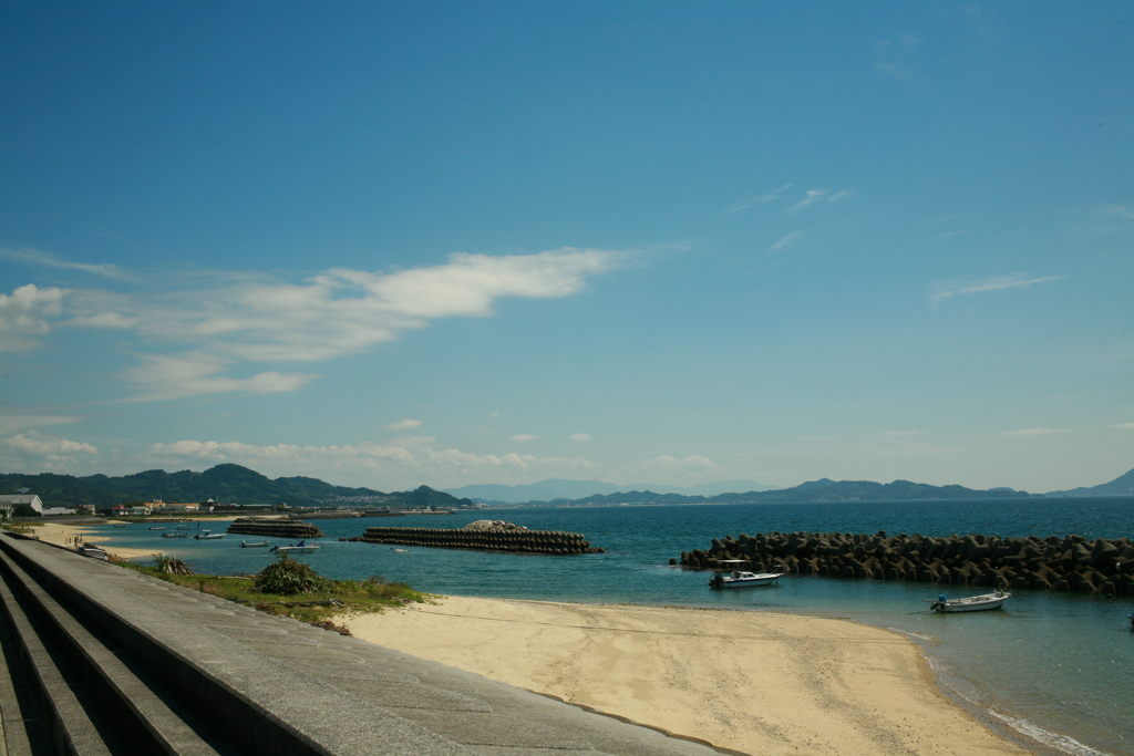 夏の日差しだとよく写るな