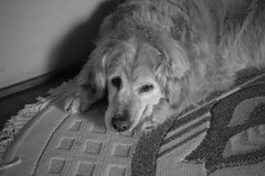 みゅうちゃん＠北条水軍ユースホステル