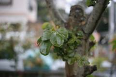 徹夜明け　さっぱり眠れない