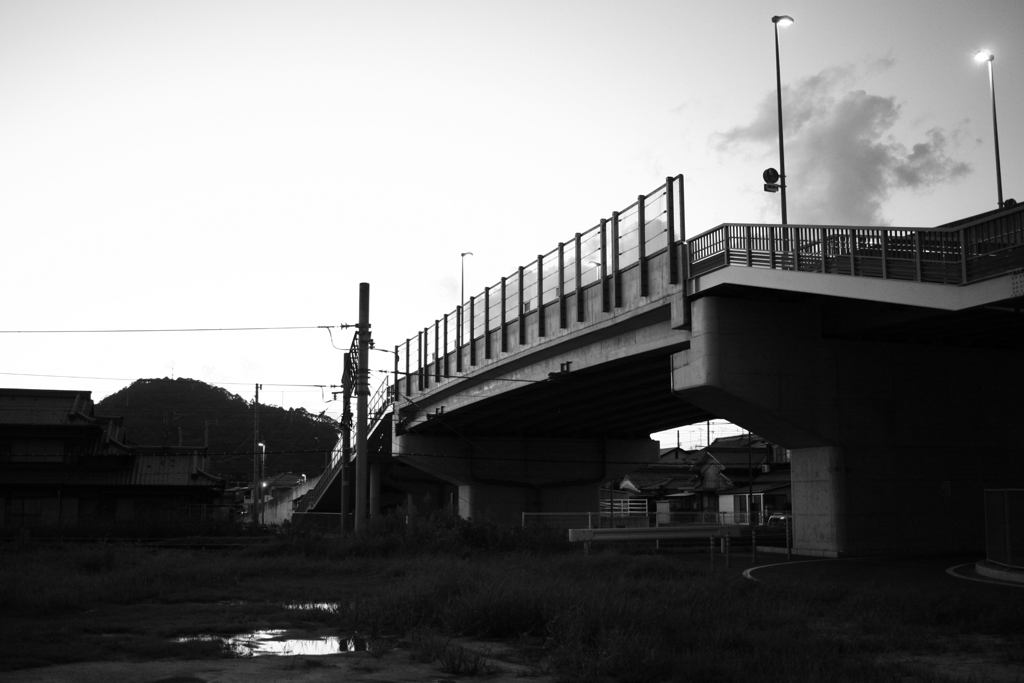 飽き飽きしてきたらモノクロにするのがいい!(^^)!