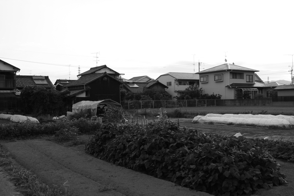 新しい朝が来た　火曜の朝だ