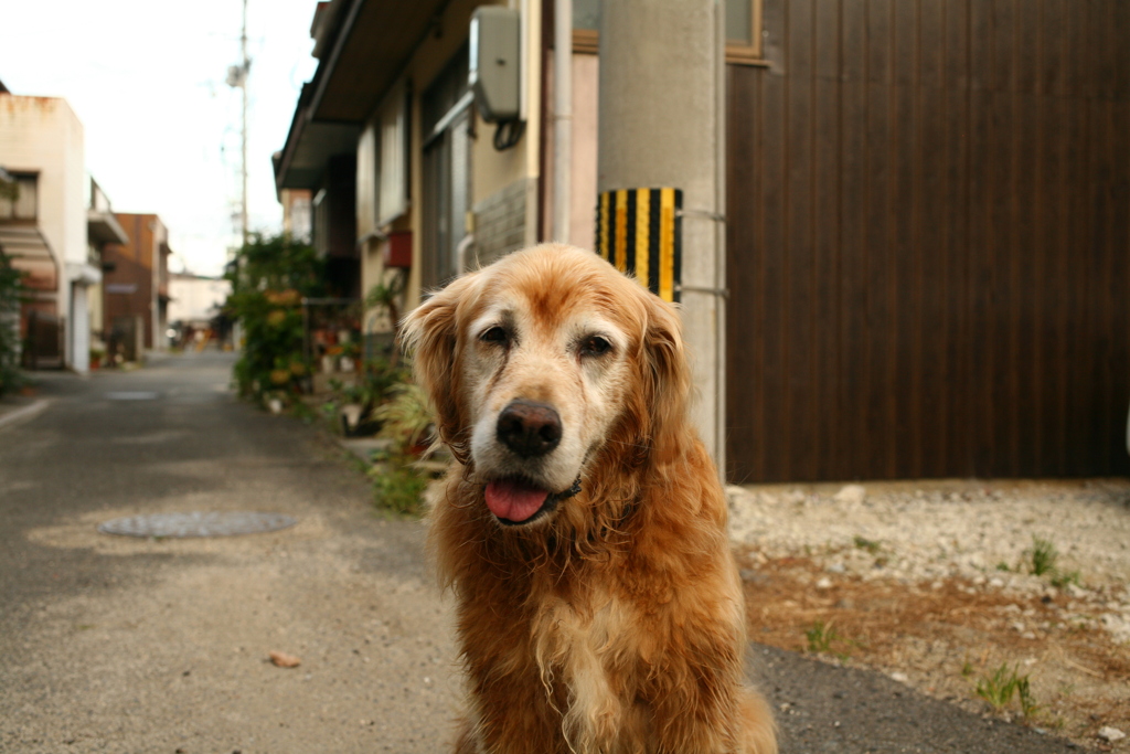 営業本部長みゅうちゃん