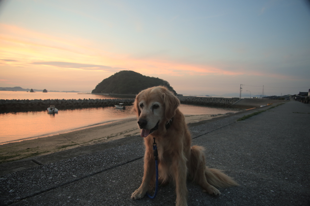 みゅうちゃんと散歩