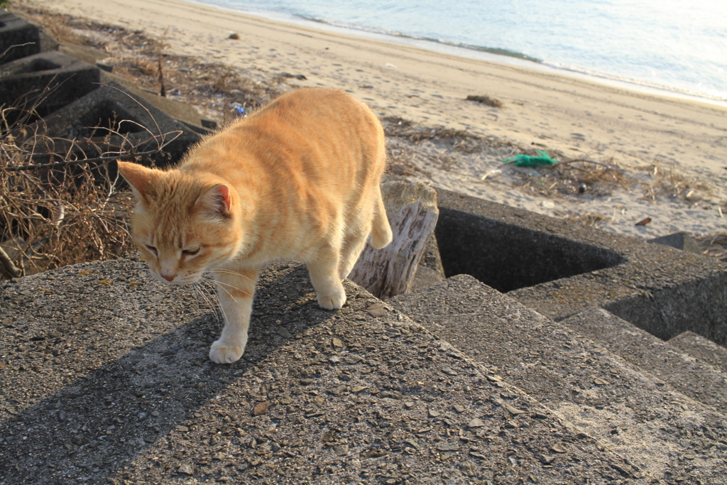 @2018-02-09 けっこうあったかい