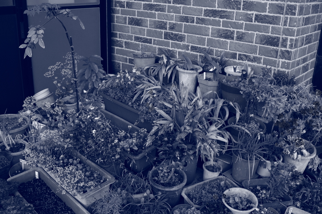 朝＠2020‐05‐11