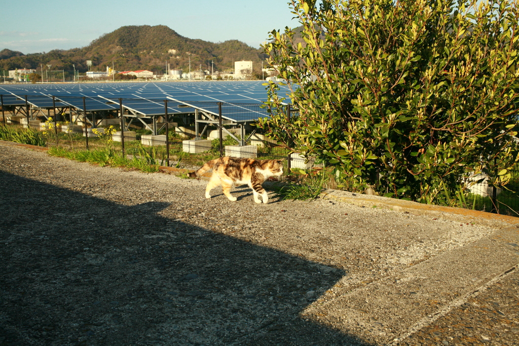 @2020‐03‐11
