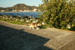 @2020‐03‐11