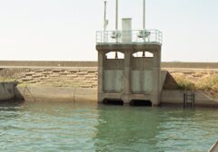 ロモ　カラーネガ100