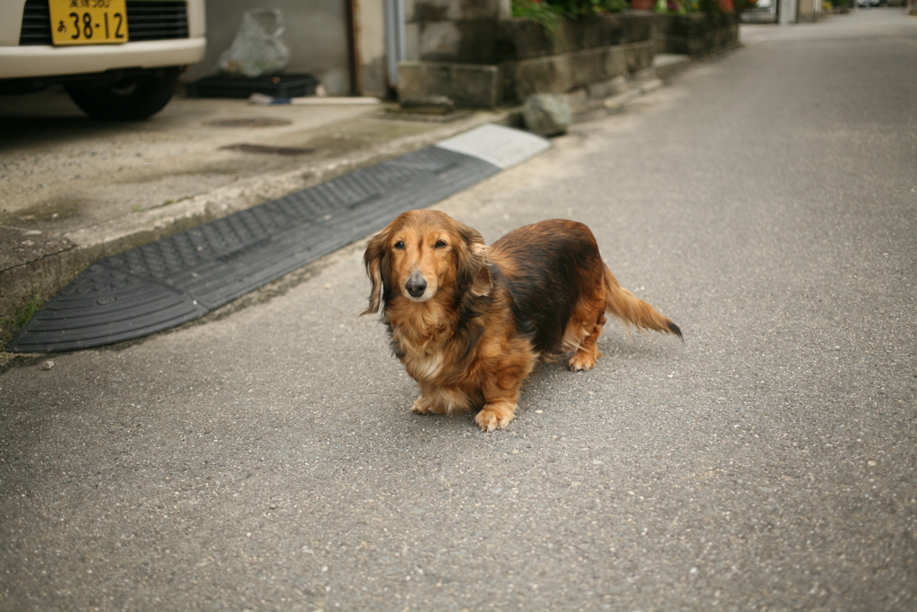 令和初日も平和な一日＠2019-05-01