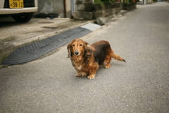 令和初日も平和な一日＠2019-05-01