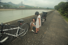 モテモテメタボスケベ猫トム君の日常