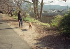 昨日　Trip35にて