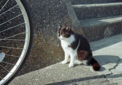 昨日　Trip35にて