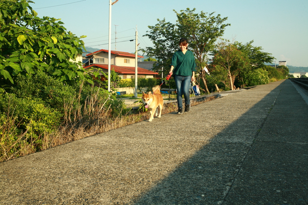 散歩してるマイルちゃんとお母さん