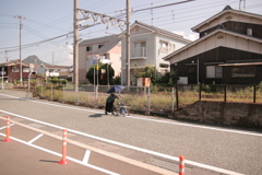 今日も平和だな～