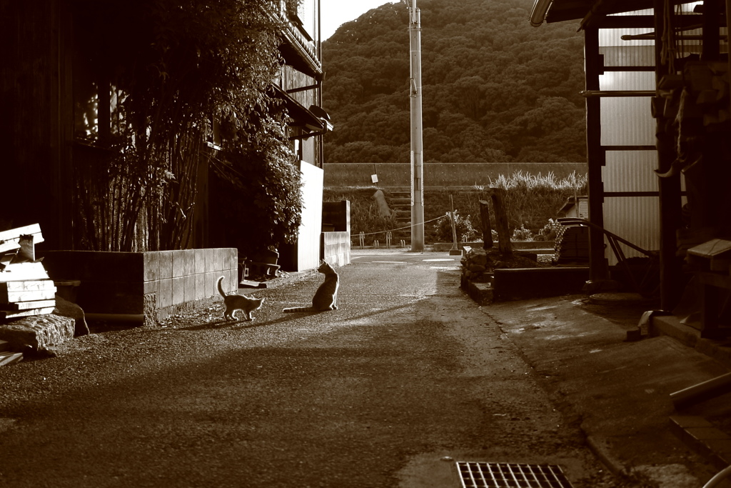 モノクロセピア