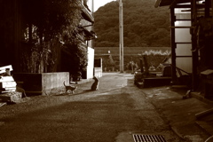 モノクロセピア