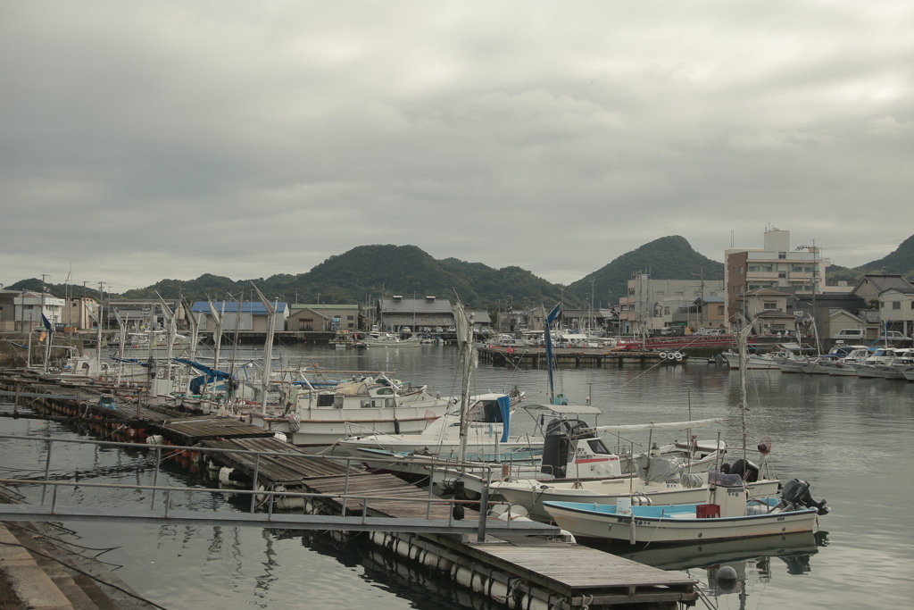 朝＠2020‐07‐16　古いEFズームにて