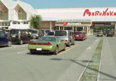 Lomography Color Negative 100 いい感じ