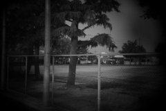 Holga lens by Monochrome