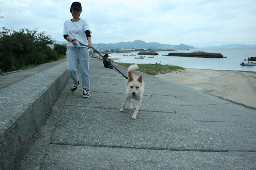 久しぶりのモナカ