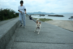 久しぶりのモナカ