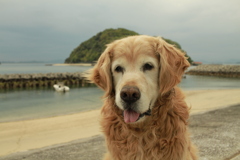 ＠2021‐04‐27