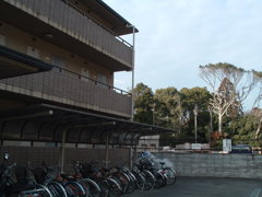 学生時代の写真発掘　2003年