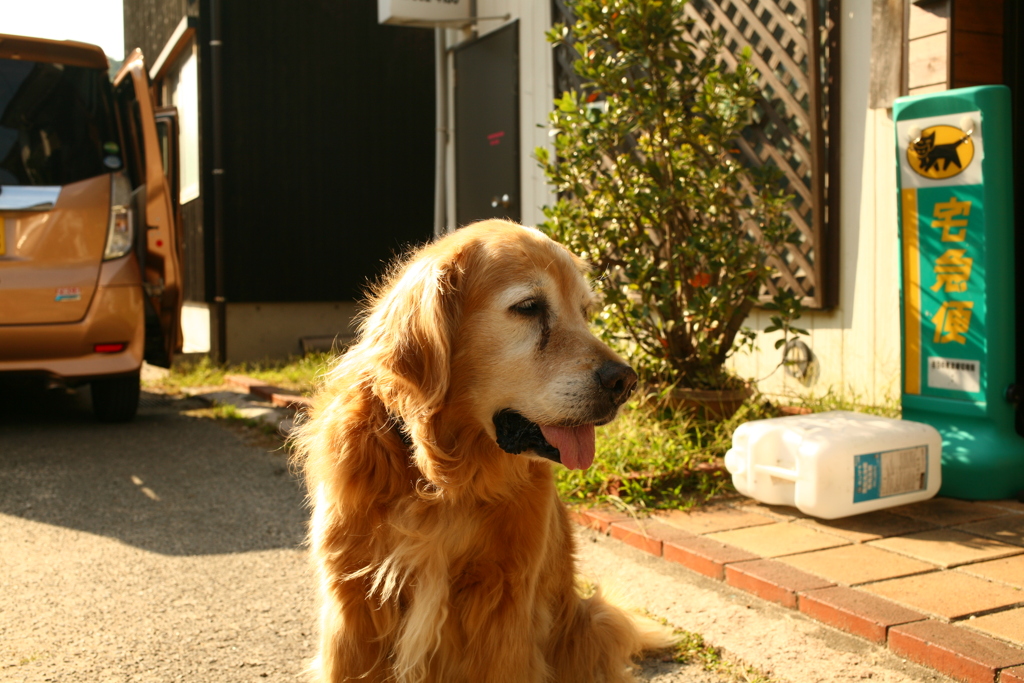 昼休憩から帰ってきたみゅうちゃん