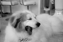 6/1は写真の日だそうで