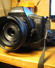 朝駆け猫写真写してくるかいね