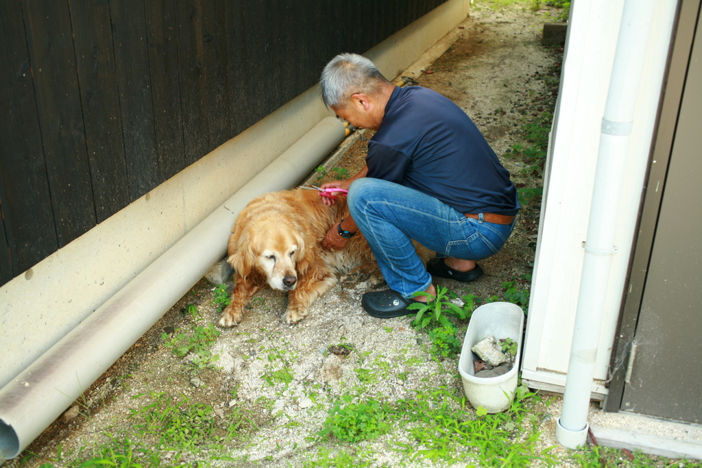 ムダ毛を切ってもらうみゅうちゃん