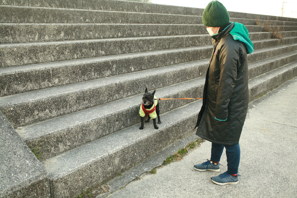 散歩してるチロル