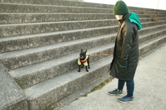 散歩してるチロル