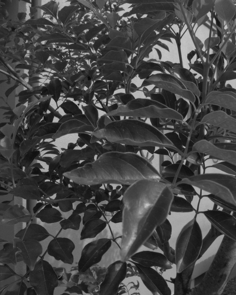 次の駅に着いたらあたしはじめから暮らしやり直すんだ