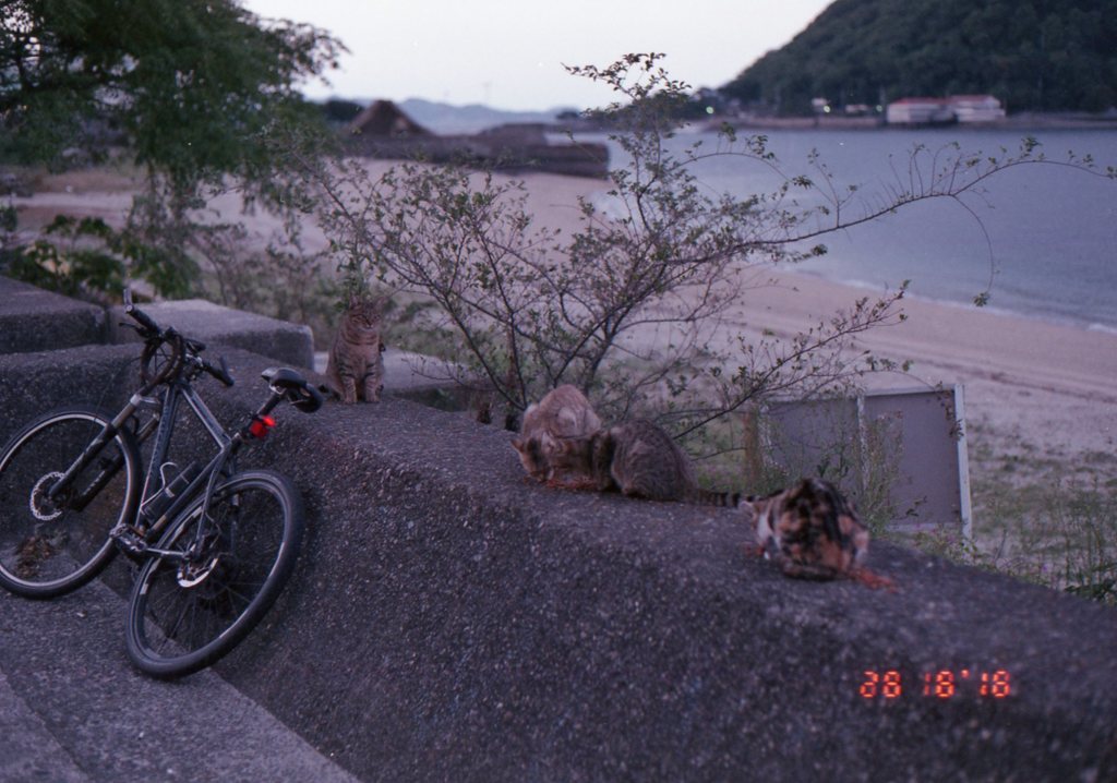 Eos5 Film にて　10月ごろ